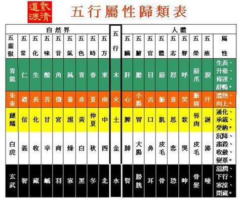 護士五行屬性|五行屬性查詢表